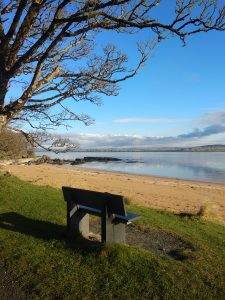 A seat with a view at Isabellas beach.