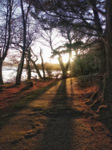 Walks around the grounds of Ards Friary, Retreat & Cotemplative Ecology Centre, and Ards Country Park - County Donegal, Ireland