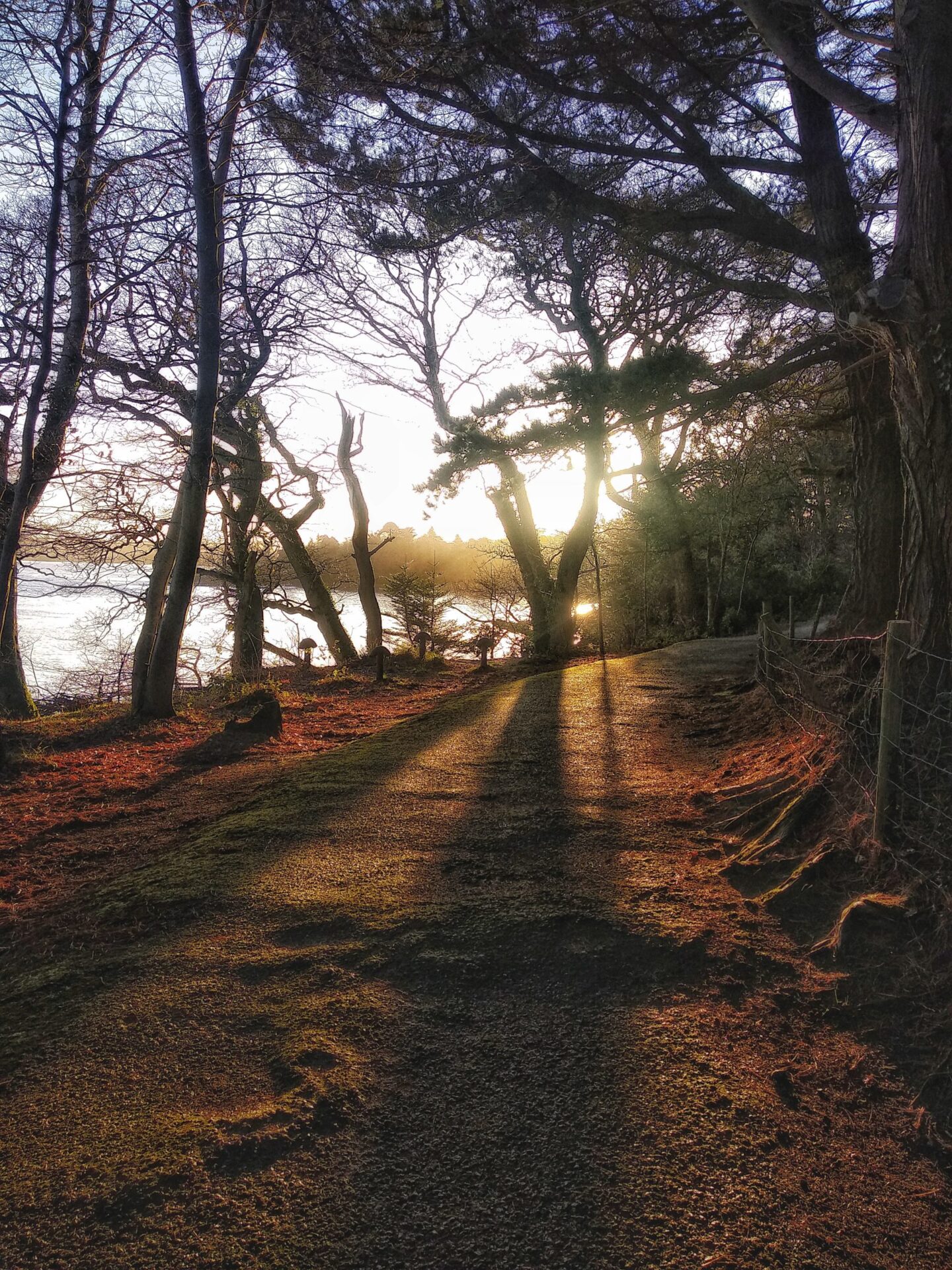 Walks - Ards Friary Retreat and Contemplative Ecology Centre