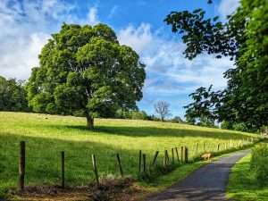 PXL_20220602_170928849.PORTRAIT-01